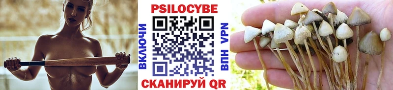 Псилоцибиновые грибы Cubensis Миасс
